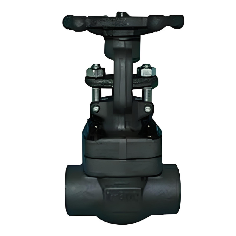 Flanged Gate Valve - CS