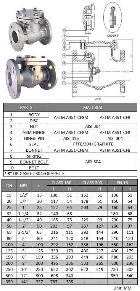 Flanged Swing Check Valve - SS